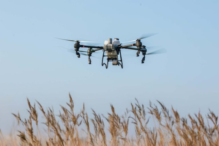 Crop Monitoring